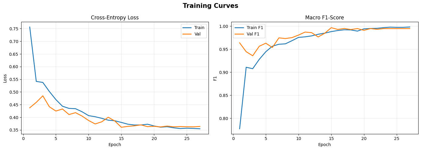 Classification training curves